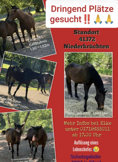 Bildschirmfoto 2026-05-27 um 09.41.22
